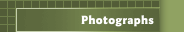 Photographs